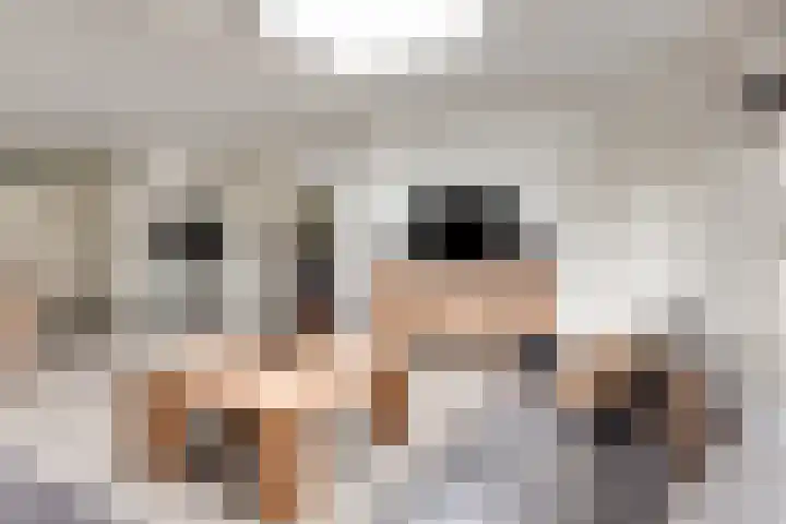 Wendelenkamp 93 Dinxperlo thumbnail 6