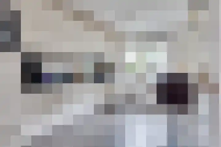 Wendelenkamp 93 Dinxperlo thumbnail 9