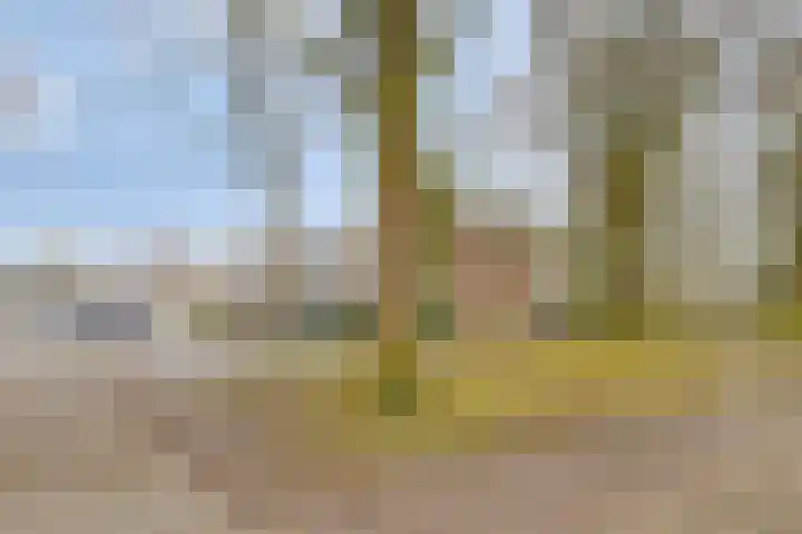 Wendeling 92 Emmen thumbnail 54
