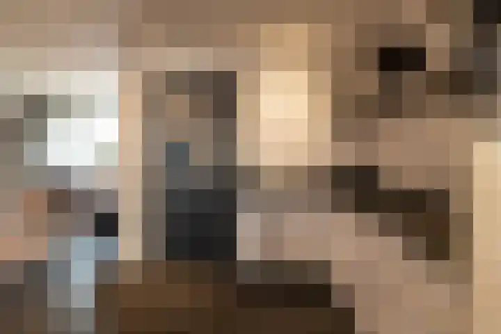 Wendelnessestraat 13 Waspik thumbnail 11