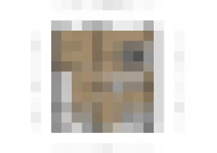 Wendelnessestraat 13 Waspik thumbnail 26