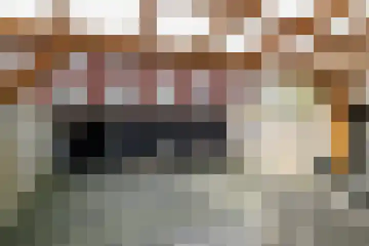Wendelnessestraat 13 Waspik thumbnail 5