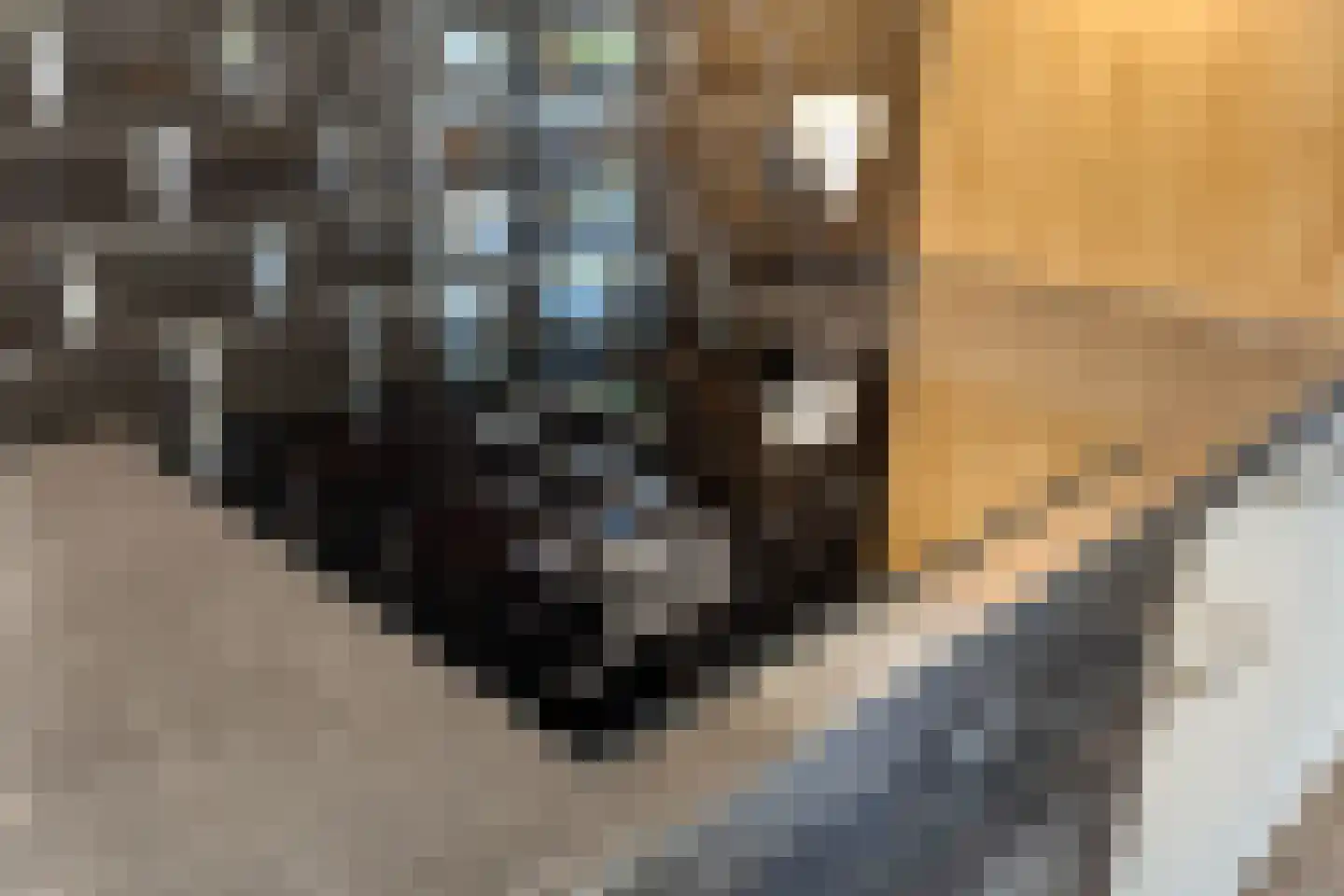 Wendelnesseweg-Oost 24 Sprang-Capelle thumbnail 17