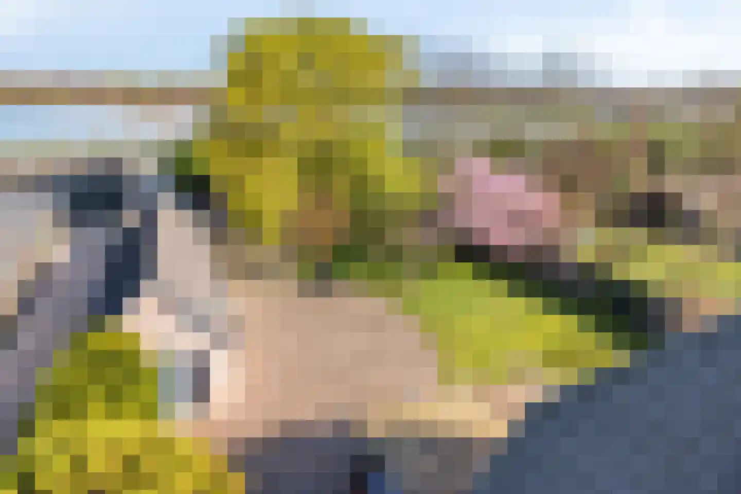 Wendelnesseweg-Oost 24 Sprang-Capelle thumbnail 64