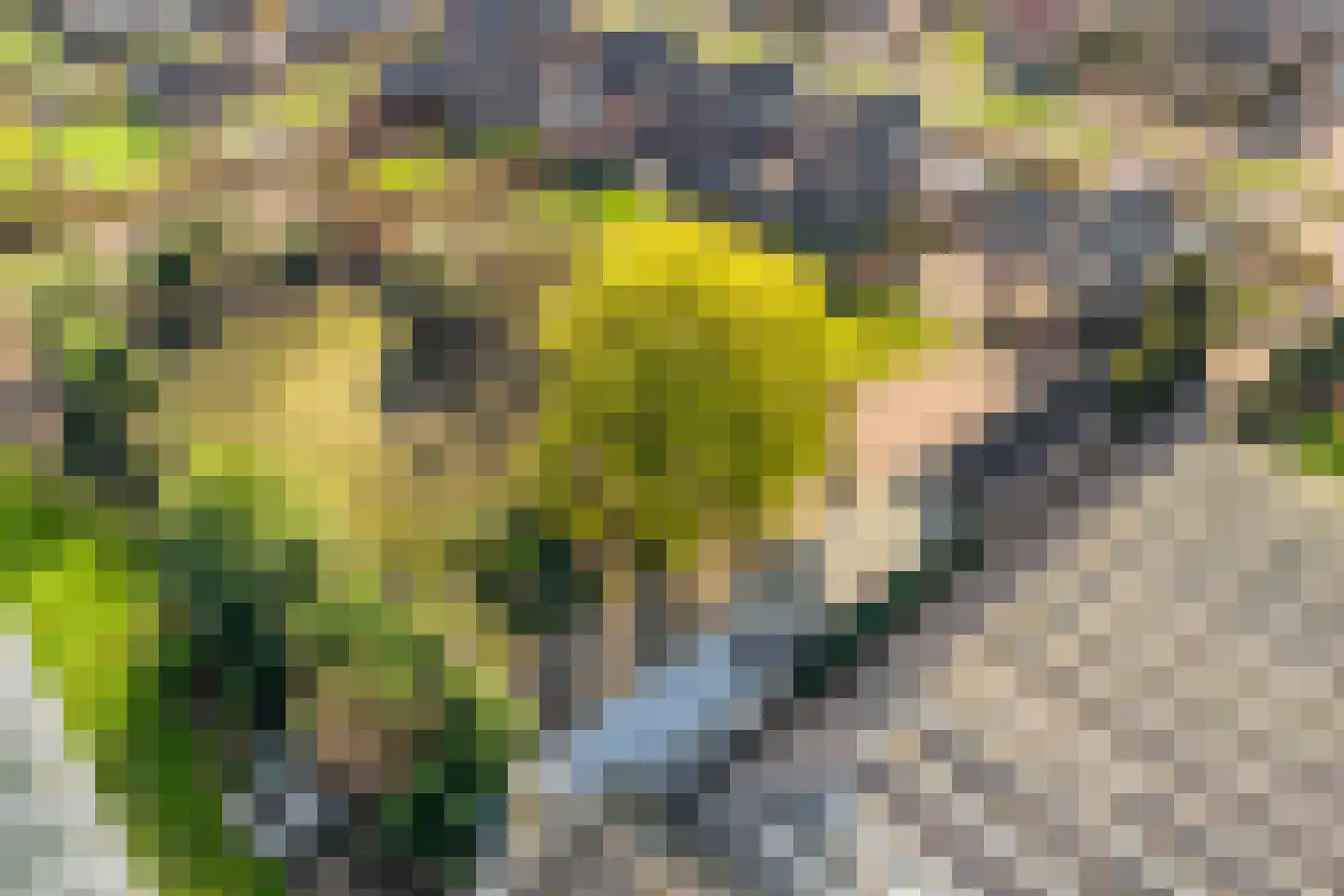 Wendelnesseweg-Oost 24 Sprang-Capelle thumbnail 73