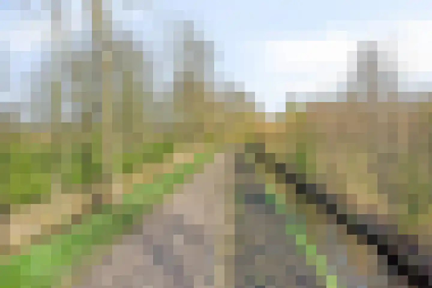 Wendelnesseweg-Oost 24 Sprang-Capelle thumbnail 75