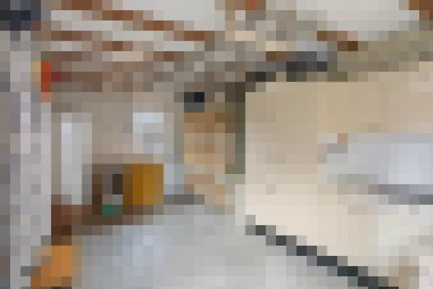Wendelnesseweg-West 3 Sprang-Capelle thumbnail 34