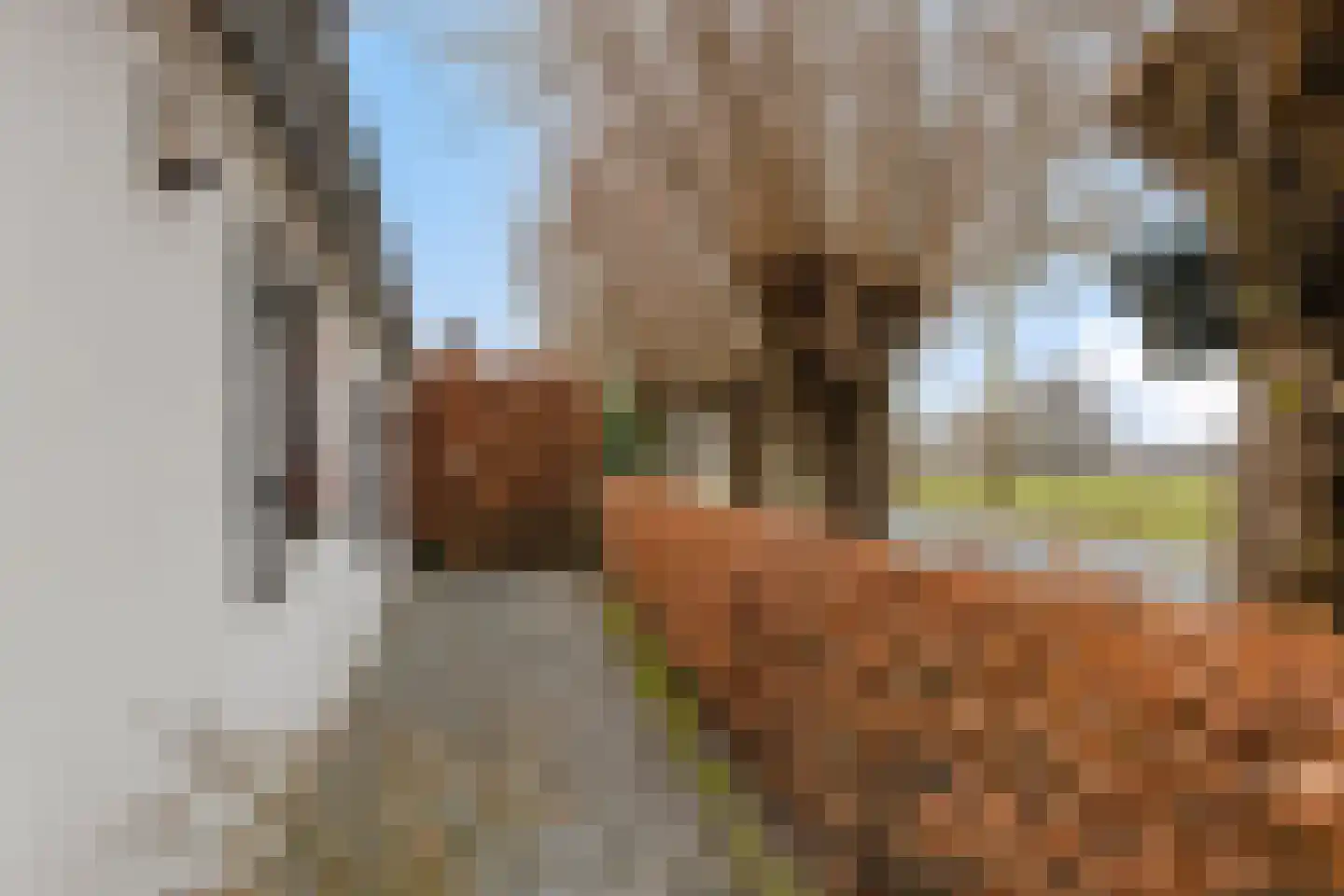 Wendelnesseweg-West 67 Sprang-Capelle thumbnail 26