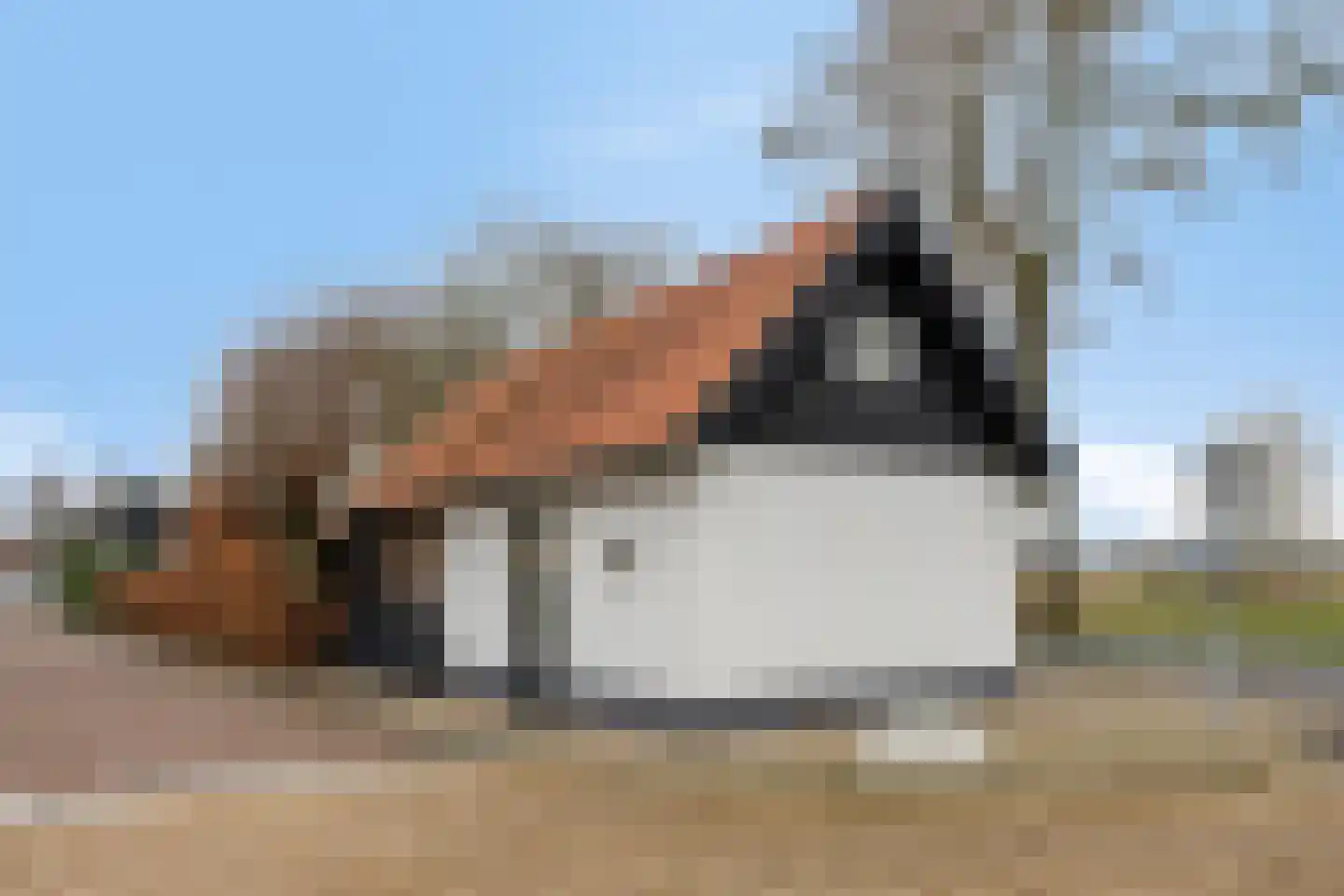 Wendelnesseweg-West 67 Sprang-Capelle thumbnail 35