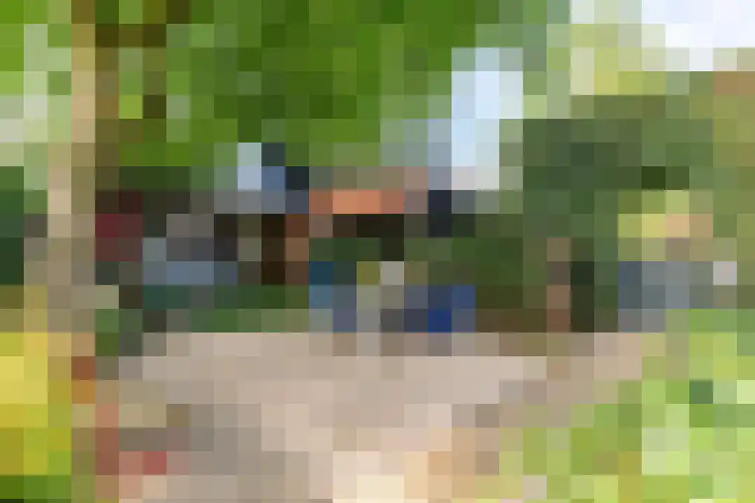Wendelnesseweg-West 67 Sprang-Capelle thumbnail 4