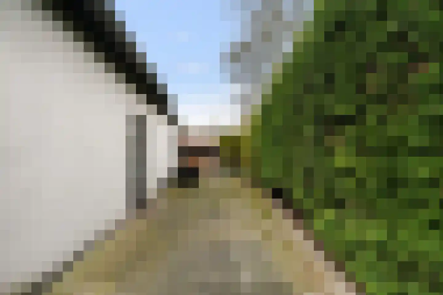 Wendelnesseweg-West 69 Sprang-Capelle thumbnail 34