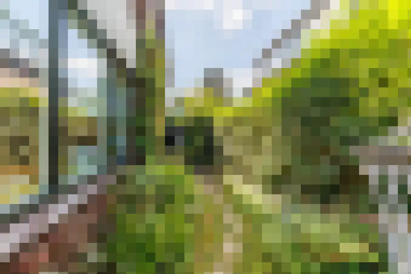 Wendenlaan 17 Apeldoorn thumbnail 21