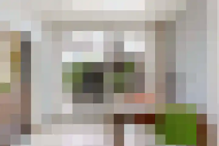 Wendenlaan 18 Apeldoorn thumbnail 16
