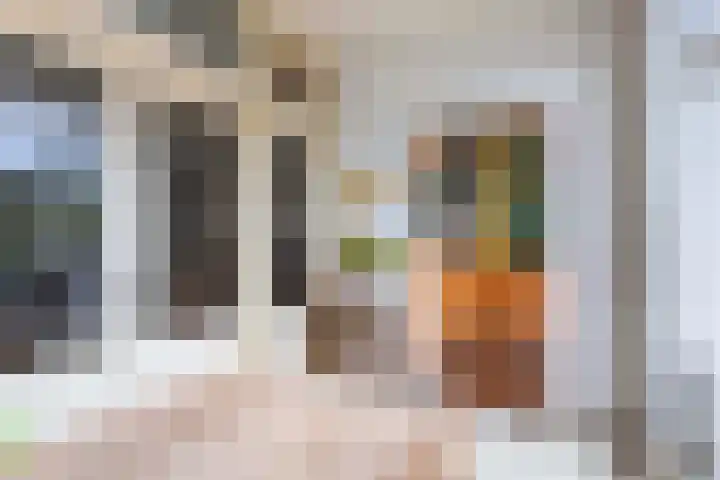 Wendenlaan 18 Apeldoorn thumbnail 18