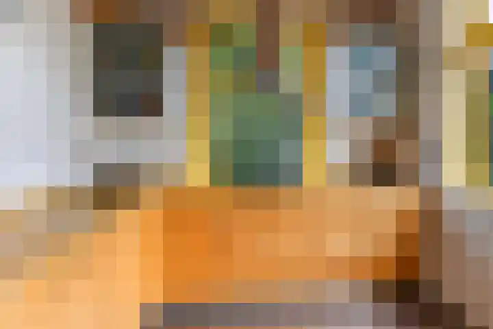 Wendenlaan 18 Apeldoorn thumbnail 19