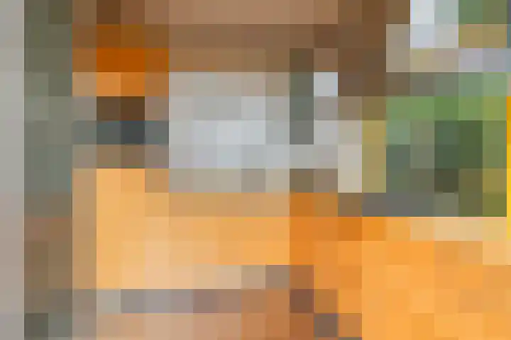 Wendenlaan 18 Apeldoorn thumbnail 20