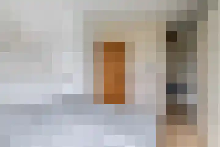 Wendenlaan 18 Apeldoorn thumbnail 24