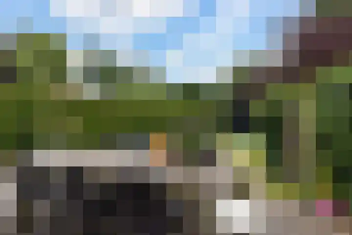 Wendenlaan 18 Apeldoorn thumbnail 32