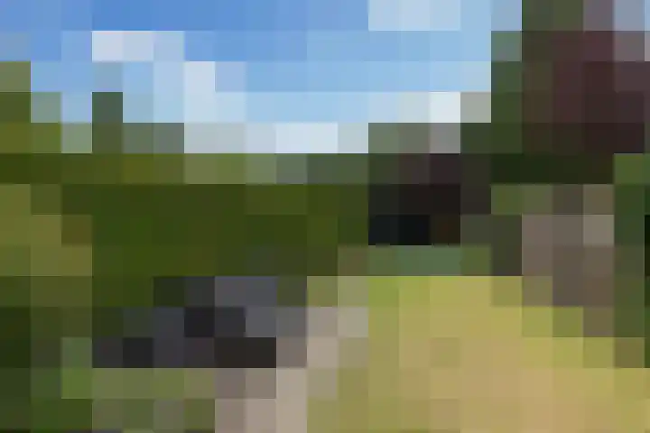 Wendenlaan 18 Apeldoorn thumbnail 33