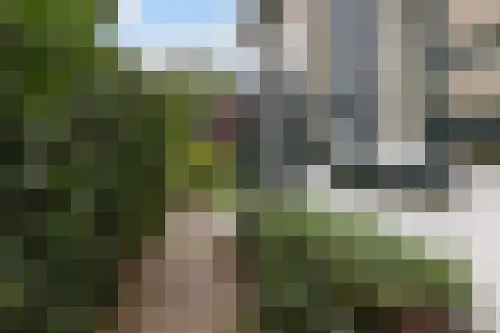 Wendenlaan 18 Apeldoorn thumbnail 36