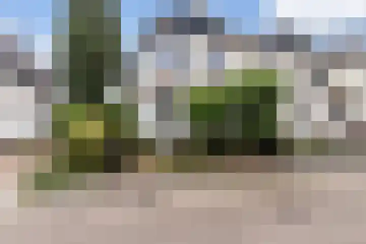 Wendenlaan 18 Apeldoorn thumbnail 37