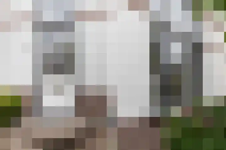 Wendenlaan 18 Apeldoorn thumbnail 4