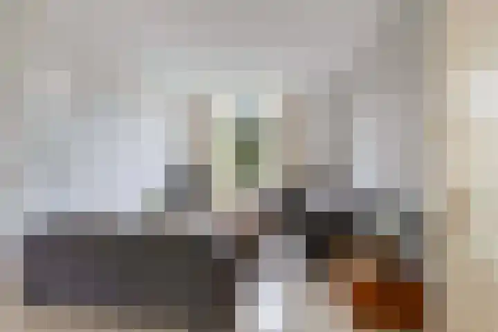 Wendenlaan 18 Apeldoorn thumbnail 7