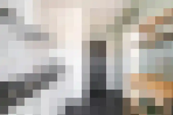 Wenduinepad 12 Eindhoven thumbnail 17