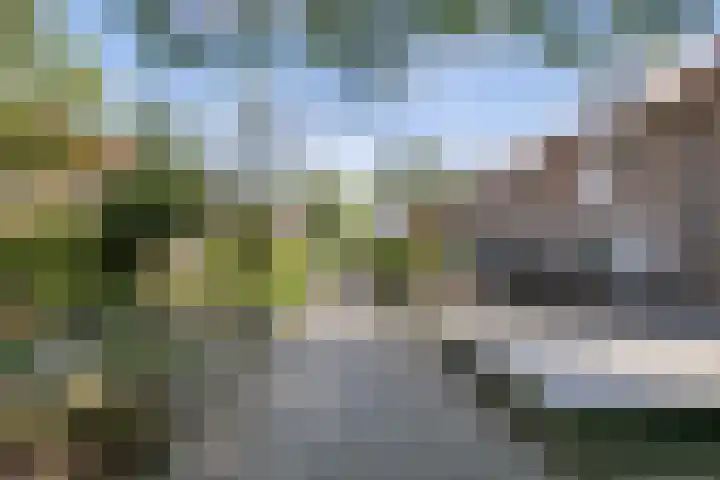 Wenduinepad 12 Eindhoven thumbnail 38