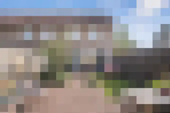 Wenduinepad 12 Eindhoven thumbnail 4