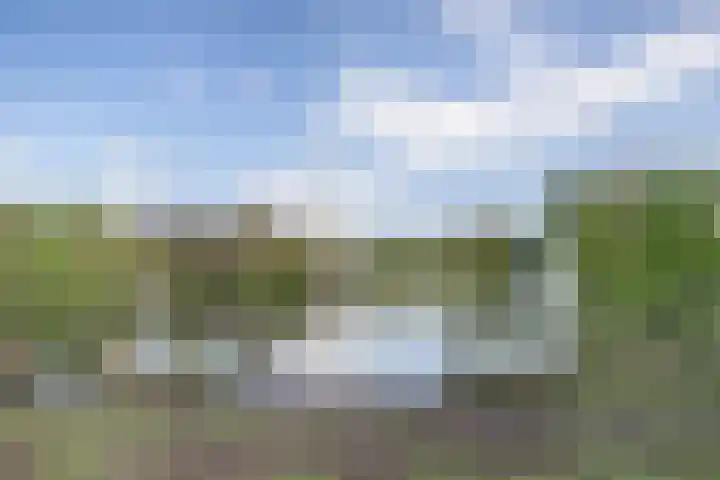 Wenduinepad 12 Eindhoven thumbnail 41