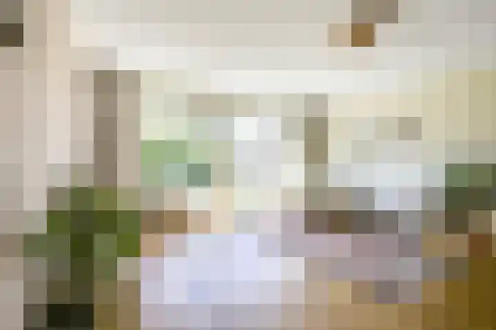 Wenemar van Redichemstraat 4 Culemborg thumbnail 13
