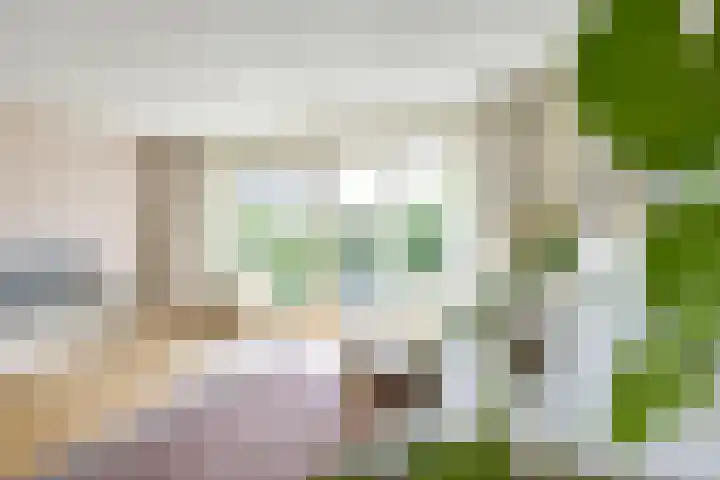 Wenemar van Redichemstraat 4 Culemborg thumbnail 17