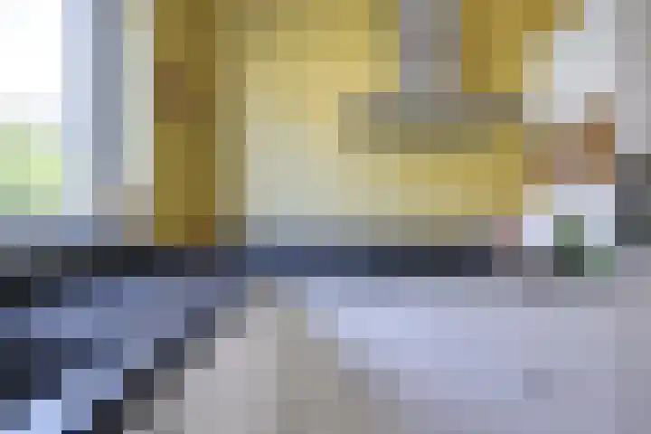 Wenemar van Redichemstraat 4 Culemborg thumbnail 19