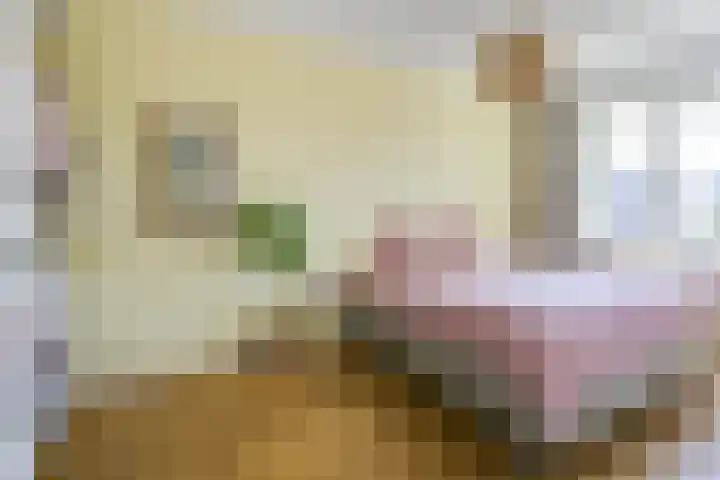 Wenemar van Redichemstraat 4 Culemborg thumbnail 27