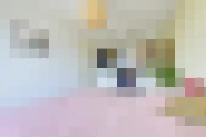Wenemar van Redichemstraat 4 Culemborg thumbnail 30
