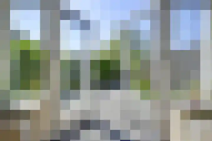 Wenemar van Redichemstraat 4 Culemborg thumbnail 4