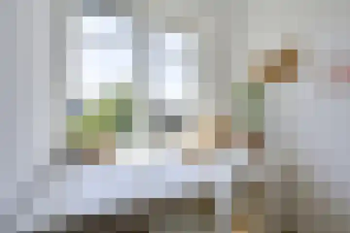 Wenemar van Redichemstraat 4 Culemborg thumbnail 41