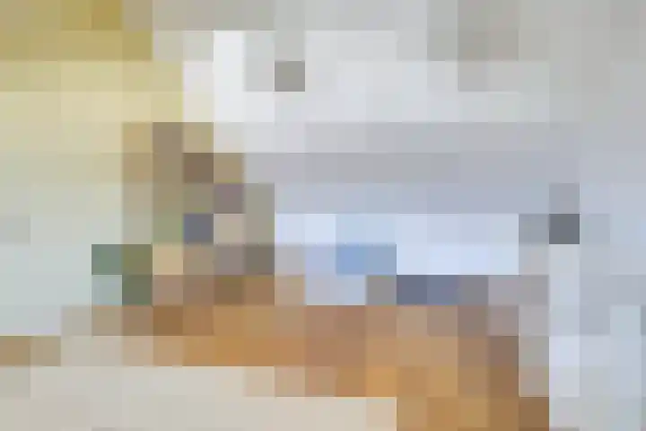 Wenemar van Redichemstraat 4 Culemborg thumbnail 45
