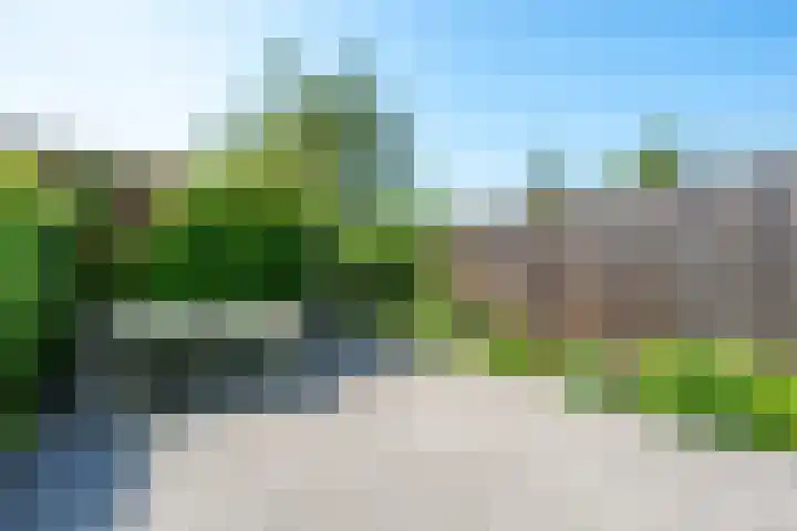 Wenemar van Redichemstraat 4 Culemborg thumbnail 6