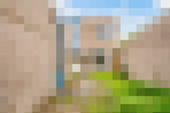 Wenenpad 16 Almere thumbnail 27