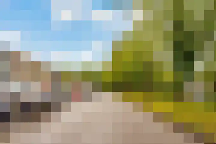 Wenenpad 16 Almere thumbnail 34
