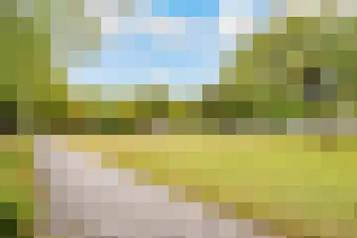 Wenenpad 16 Almere thumbnail 35