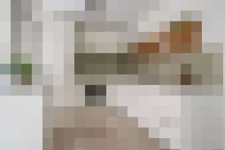 Wenenpromenade 10 Utrecht thumbnail 18
