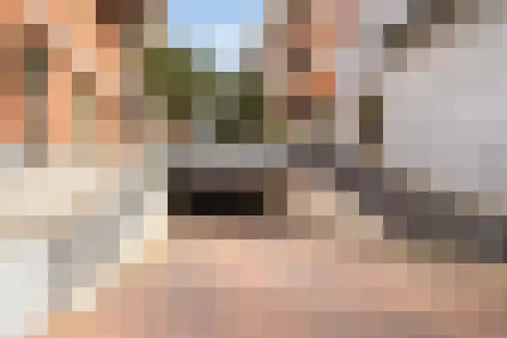 Wenenpromenade 10 Utrecht thumbnail 31