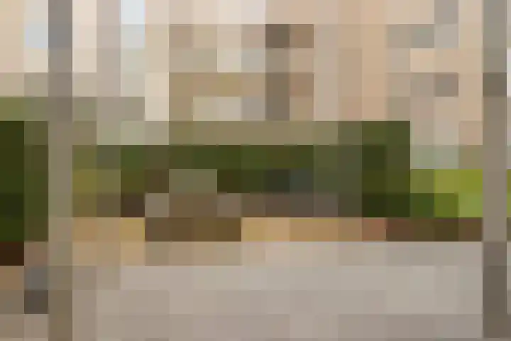 Wenenpromenade 10 Utrecht thumbnail 36