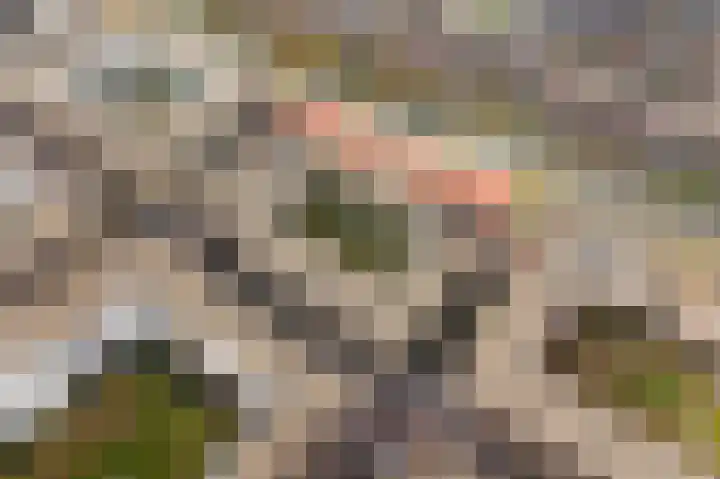 Wenenpromenade 10 Utrecht thumbnail 37