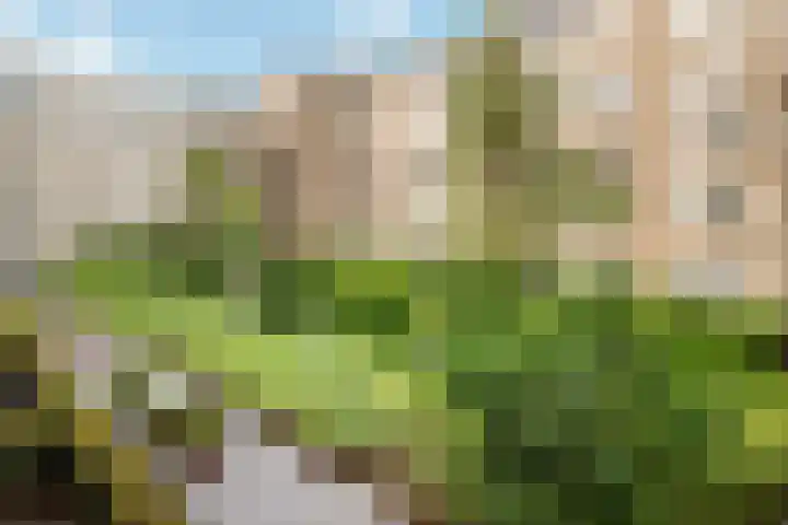 Wenenpromenade 24 Utrecht thumbnail 31