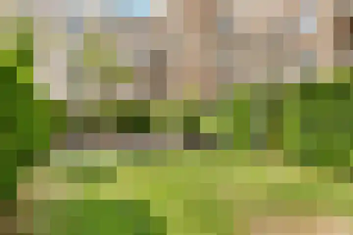 Wenenpromenade 24 Utrecht thumbnail 32