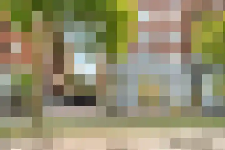 Wenenpromenade 24 Utrecht thumbnail 34